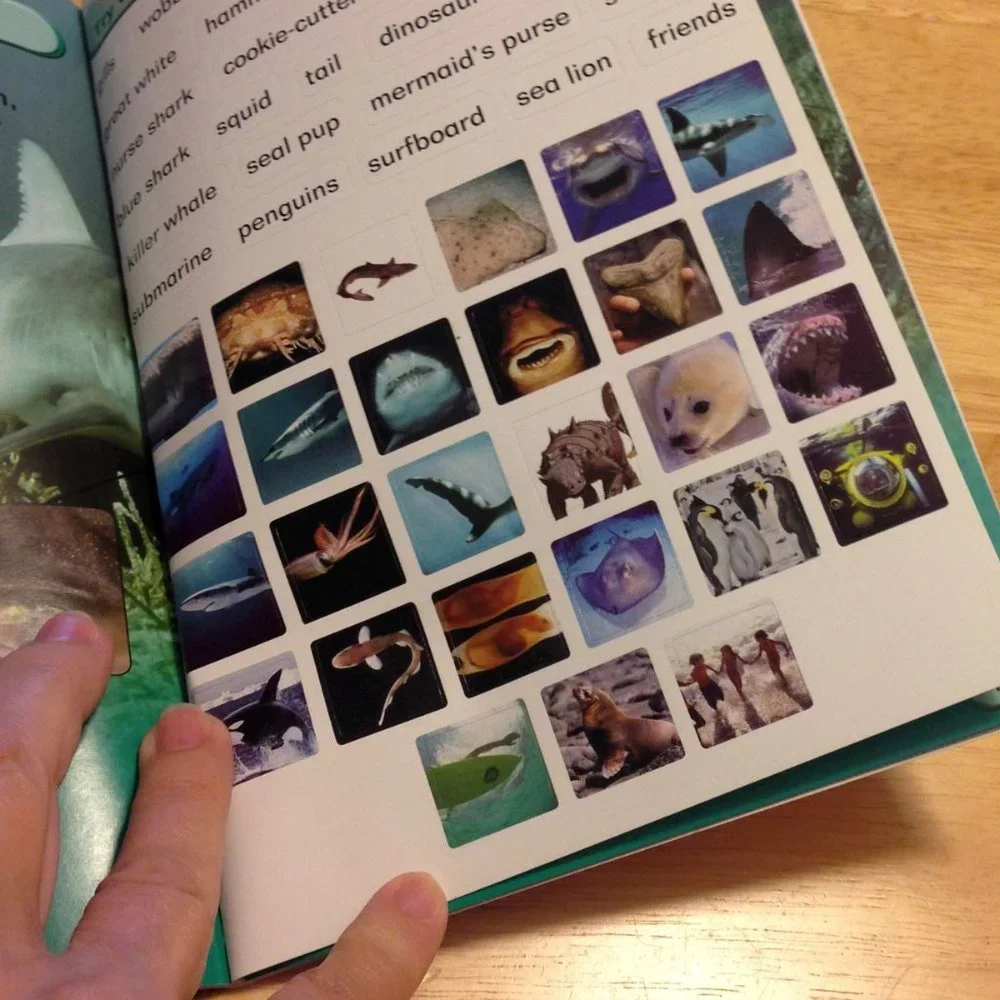 Discovery Kids Educational Booklets, Dinos, sharks, animals, adventures